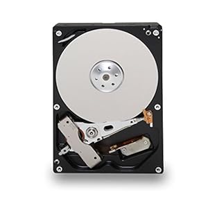 Toshiba DT01ACA300 3000GB interne harde schijf (8,9 cm (3,5 inch), 7200rpm, 64MB cache, SATA III)