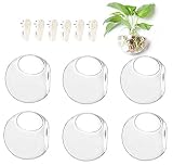 6-Pack Wall Hanging Planters Glass Terrariums - Round Air Plants Wall Containers Succulents Globe Orbs (4.7 x 4.7 Inches)