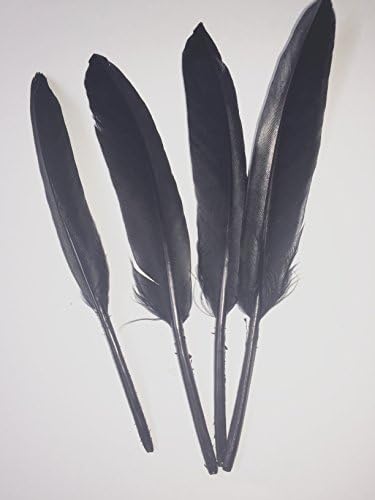 123zero 100 pcs Home Decor Decorating Goose Feathers for Craft and Wedding Decoration (Black)