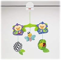 fisher price stroller activity pals