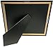 Creative Picture Frames [CL8.5x11bk] Black Double License Business Frames for Professionals 8.5 by 11-inch Frame w/Mat, Self Standing Easel Back and Hanger