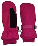 N'Ice Caps Kids Thinsulate and Waterproof Quilted Ski Mittens