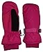 N'Ice Caps Kids Thinsulate and Waterproof Quilted Ski Mittens