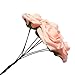 J-Rijzen Jing-Rise Artificial Flowers 50PCS Real Looking Blush Fake Roses with Stem for DIY Wedding Bouquets Centerpieces Party Baby Shower Home Decorations (Blush)