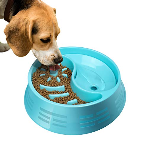 Slow Feeder Dog Bowl with Water Bowl，Dog Bowl Food and Water Bowls for