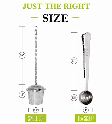 Tea Infuser Set by Chefast (Medium Size) - Combo Kit of 2 Single Cup Infusers & Metal Scoop with Bag Clip - Reusable Stainless Steel Strainers and Steepers for Loose Leaf Teas