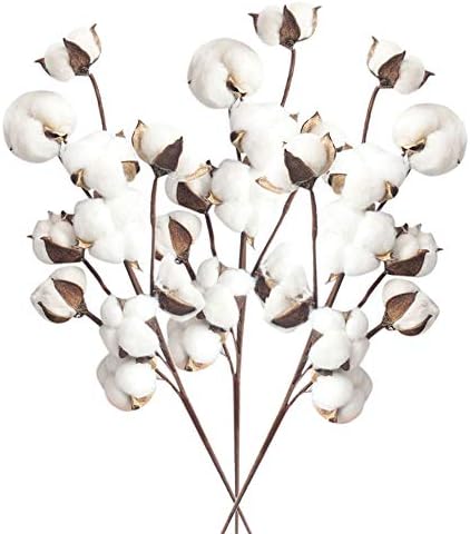 Lowprofile Natural Dried Cotton Stem Farmers Fill with Artificial Flowers for Floral Decoration Girls Room Living Room Decor