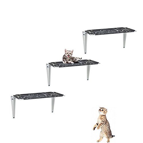Cat Stairs & Ramps