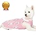 Blueberry Pet Wonderland Floral Sleeveless Dog Dress in Pink Stripe with Peter Pan Collar, Back Length 12