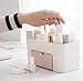 Space Saving Plastic Office Supplies Desk Organizers,SMYTShop 6 Cells Pen Holder/Cell Phone Holder/Cosmetic Holder with a Drawer (Pink)