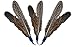Prairie Horse Supply Replacement Feathers for Cat Wand (5 Pack) Refill for Da Bird GoCat Toy Top Choice Teaser Interactive Play for Kittens All Natural Genuine Guinea Feathers