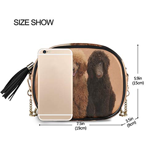 Three-Cute-Dogs-Women-Chain-Messenger-Bag-Crossbody-Purses-for-Girl