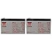 Yuasa NP7-12 12V 7AH Battery (2 Pack)
