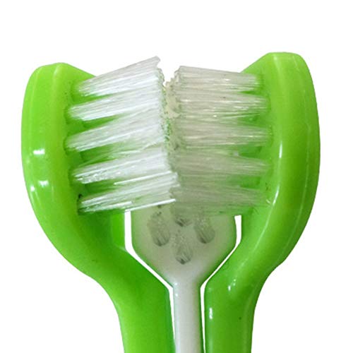 Home & Garden - Set Toothpaste Soft Teeth Toothbrush Three Tuft Pet Clean Cleaning - Accessories Weddings Cell Garden Electronics Home Sports Toys Health Events Computers Beauty Phones Girls