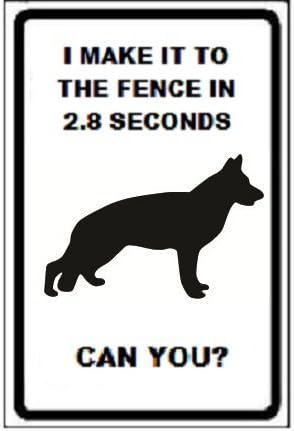 german shepherd fence