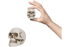 READAEER Resin Skull, Mini Skull Model for Home Decoration, Halloween Skull Statue, Human Skull Head Bone Model for Desktop