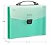 Snail&Hawk 13-Pockets Poly Accordion Expanding File-Folder Organizer with Handle,A4 Size,Buckle Closure (Green)
