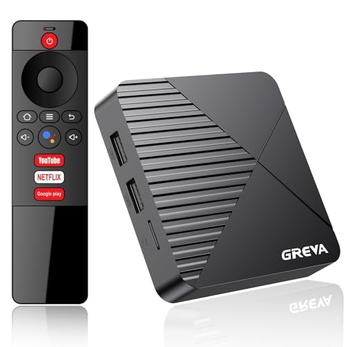 GREVA Mini13 TV Box