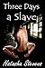 Three Days a Slave: An Extreme BDSM Horror Thriller