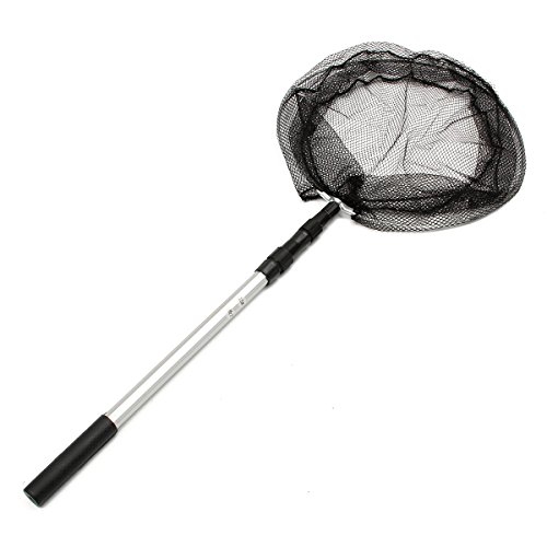 110CM-Extending-Fishing-Net-Aluminum-Foldable-Pole-Handle-Fish-Netnet-for-fishsmall-fish-netfish-netting-by-Randall-Elliott