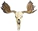 Resin Moose Skull Rustic Wall Head Mount 19 Inch