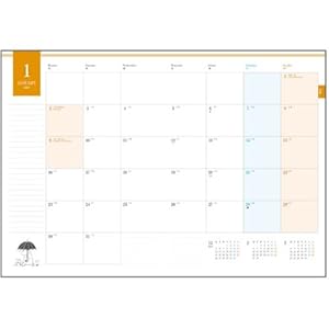 Delfino 2017 notebook Moomin gift December beginning A5 size MOO-35682