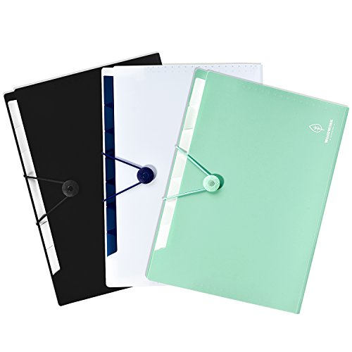 FHEAL File Folders with Pockets Plastic Expanding Folders Letter Size Paper Organizer with Elastic Band 1 Pack White
