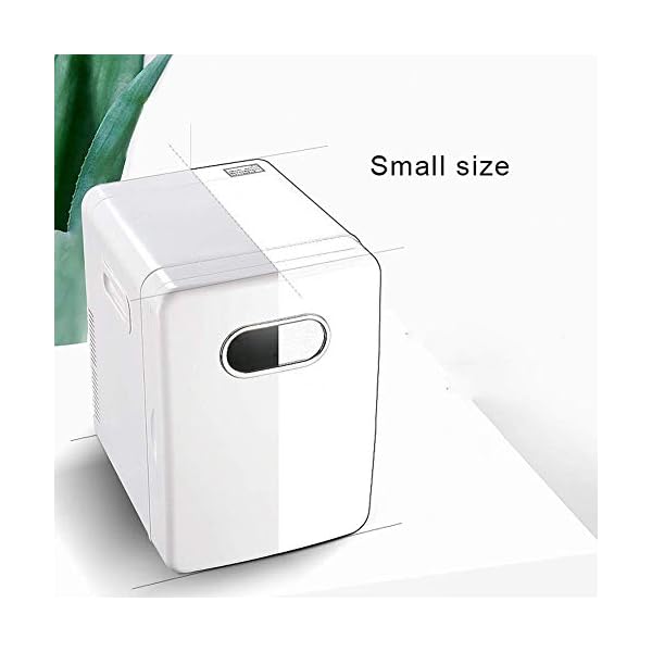 YANJ Portable Mini Fridge 12v 220v,Electric Cool Box Car refrigerator,Home And Car Dual Use Refrigeration And Heating Dual Use 20L Capacity 220V/12V LOLDF1