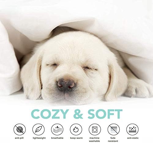 Demon Slayer blanket priced at $59.99, featuring a demon design, appropriate dimensions, and good quality.