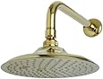 amazon brass shower head