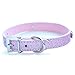 Daddy Dom DDLG/ABDL Leather Collar