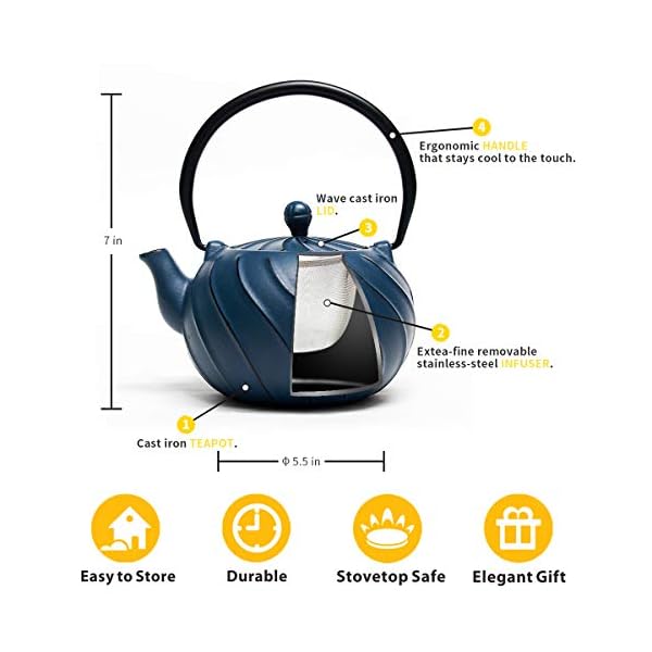 Tea Kettle, TOPTIER Japanese Cast Iron Teapot with Stainless Steel