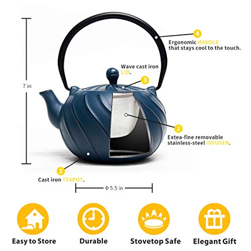 Tea Kettle, TOPTIER Japanese Cast Iron Teapot with Stainless Steel