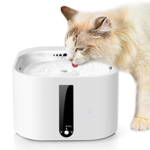 smart pet drinking fountain
