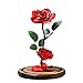 Autoday USB Beauty and The Beast Preserved Fresh Rose Flower Light Fallen Petals in a Glass Romantic Wooden Base Valentine's Day Birthday Anniversary (5.75.79