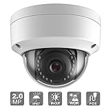 2MP POE Security IP Camera, Outdoor Dome Fixed Super Day/Night Vision ,ONVIF (2.8mm lens)