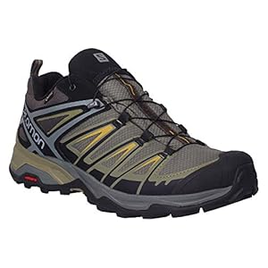 Salomon X Ultra 3 Gore-Tex (wasserdicht) Herren Trekking- & Wanderschuhe, Grau (Castor Gray/Beluga/Green Sulphur), 41 1/3 EU