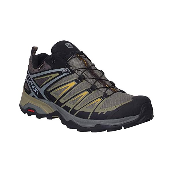 Salomon X Ultra 3 Gore-Tex (wasserdicht) Herren Trekking- & Wanderschuhe, Grau (Castor Gray/Beluga/Green Sulphur), 41 1/3 EU