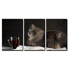 3 Piece Canvas Wall Art - Gray Big Cat Lies on The Open Book. Nearby Stands a Cup of Tea or Coffee - Modern Home Art Stretched and Framed Ready to Hang - 24"x36"x3 Panels