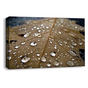 wall26 Canvas Wall Art Leaf Veins Pictures Home...