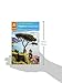 The Rough Guide to Naples and the Amalfi Coast (Rough Guides)