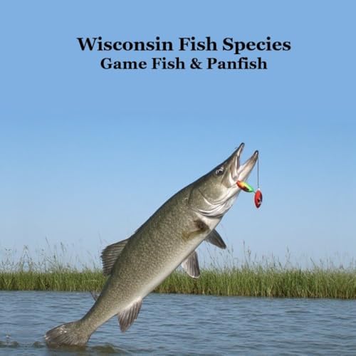 Fish of the Midwest: Your Way to Easily Identify Fish (Adventure