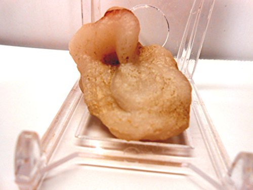 Rock Tumbler Gem Refill Kit New Mexico White Chalcedony Rough 8 oz