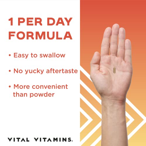 Vital Vitamins Brain Booster Memory, Focus, & Concentration