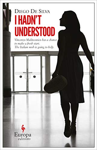 I Hadn't Understood (The Vincenzo Malinconico Novels Book 1) by Diego De Silva