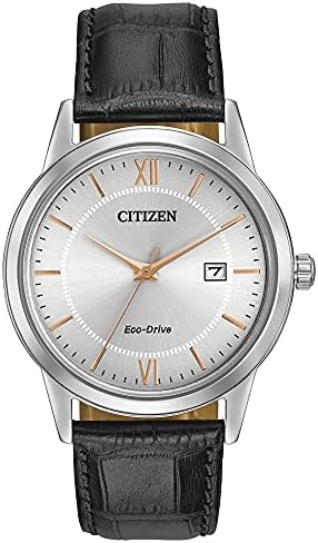 Amazon.com: CITIZEN Mens Eco-Drive Terra Force, Silver-Tone
