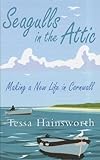 Seagulls In The Attic by Tessa Hainsworth (2011-06-01) by Tessa Hainsworth