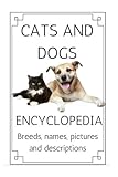 Cats And Dogs by