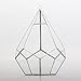 NCYP Silver Hanging Glass Geometric Terrarium, 6.8 x 6.8 x 8.6 Inches Teardrops Shape Display Planter for Succulent Air Plants, Indoor Decor Flower Holder, Handmade (NO Plants)