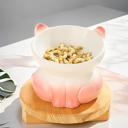Beauenty 2 Pcs Ceramic Elevated Cat Bowls - Tilted Raised Cat Bowl Anti Vomit Cat Food Bowls for Indoor Cats, Whisker Friendly Design, Microwave & Dishwasher Safe